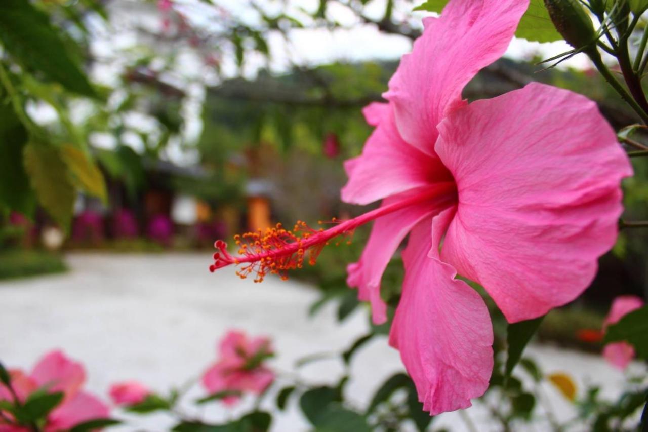 埔里夏都華蔓山林日式會館 Puli Huaman Villa Bagian luar foto